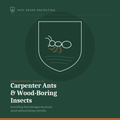 Carpenter Ants & Wood-Boring Insects Field Guide