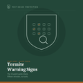 Termite Warning Signs: The 12-Point Quick Check